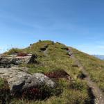 wir haben den Jägglisch Horn auf 2290 m.ü.M. erreicht