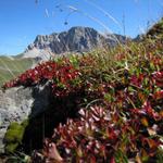 so macht Wandern spass. Schönes Wetter und diese traumhafte Natur