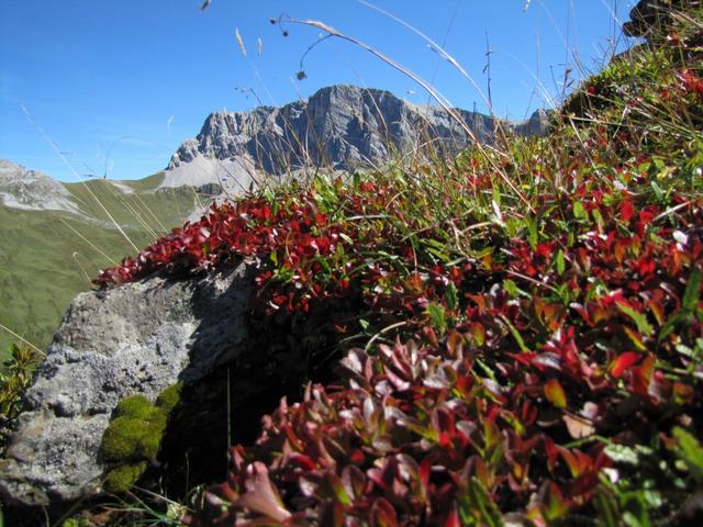 so macht Wandern spass. Schönes Wetter und diese traumhafte Natur