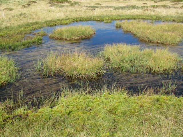 kleine Moorlandschaft bei Äbi