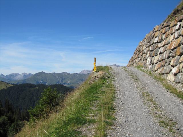 wir haben die Aschariner Alp hinter uns gelassen und laufen nun Richtung Alp Vordersäss