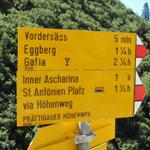 Wegweiser kurz nach der Alp Ascharina