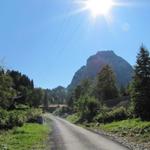 mit Blick zum Grossen Mythen führt der einfache Wanderweg auf die Holzegg