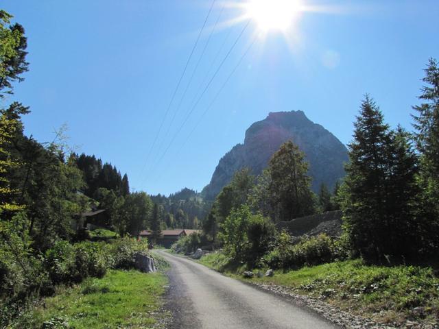 mit Blick zum Grossen Mythen führt der einfache Wanderweg auf die Holzegg