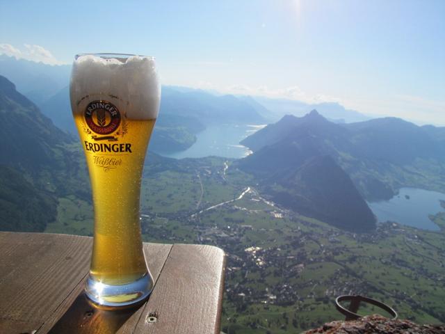 was für eine Aussicht auf Schwyz, Brunnen und den Vierwaldstättersee