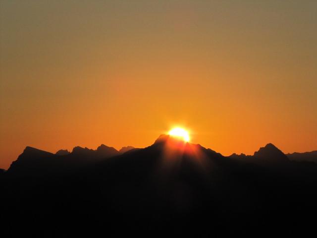 die Sonne als gleissendes Licht erscheint hinter dem Mutteristock