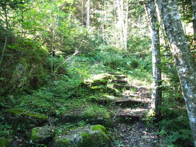 aufwärts durch den Wald bei "Bim Chäppeli"