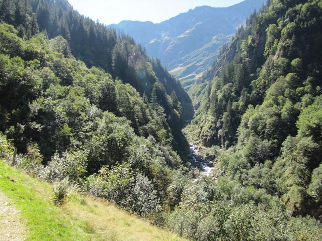 der Bach hat sich hier eine tiefe Schlucht gegraben