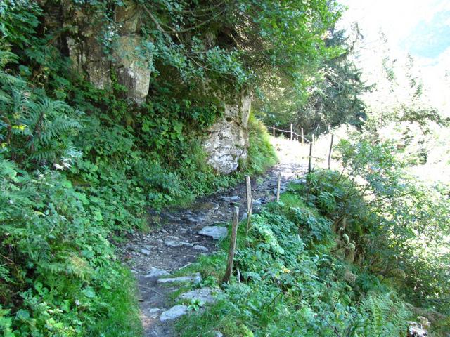 der Weg zur Gaulihütte ist lang und steil