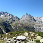 Breitbildfoto mit Hangendgeltscherhorn, Ränfenhorn, Dossen, Gstellihorn und Grosses Engelshorn