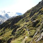 wir haben den Tälligrat hinter uns gelassen und wandern nun leicht abwärts Richtung Gaulihütte