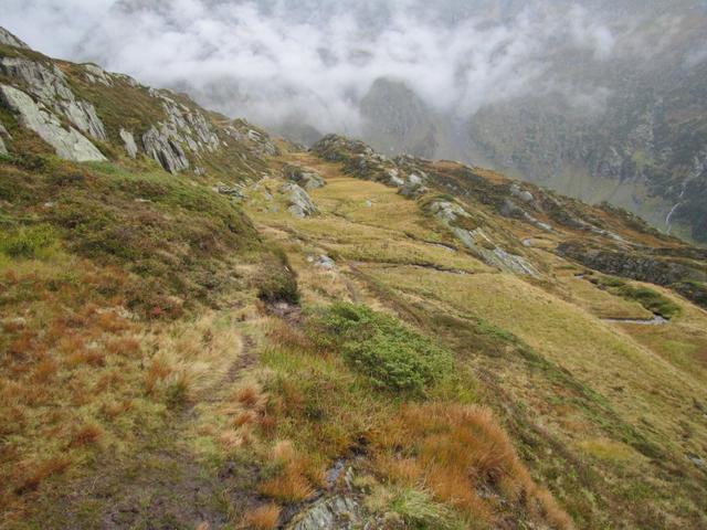 bei Träjen überquert man eine kleine Hochmoorlandschaft