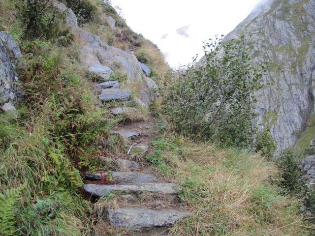 der Weg ist wenn man es so sagen kann, ein bisschen rustikal. Erinnert einem ein bisschen ans Tessin