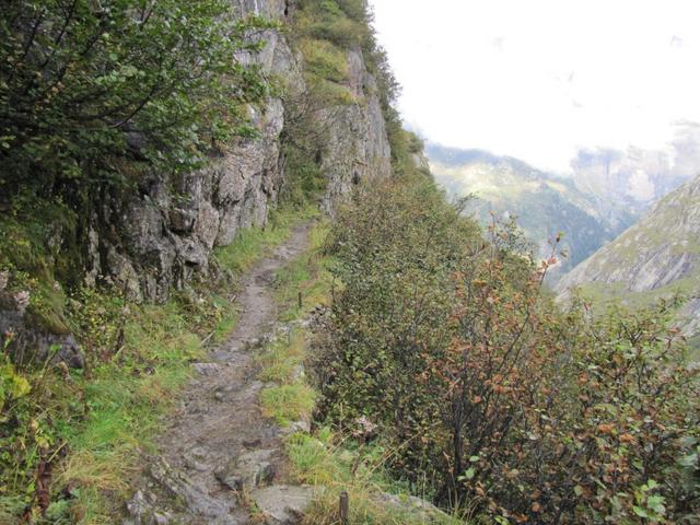 wären hier nicht diese Erlengebüsche, sähe man das es senkrecht in die Tiefe geht