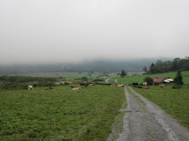 wir machten uns also auf dem Heimweg