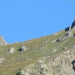 gut ersichtlich der Bergweg der über das Sätteli beim Tällistock zur Tällihütte führt