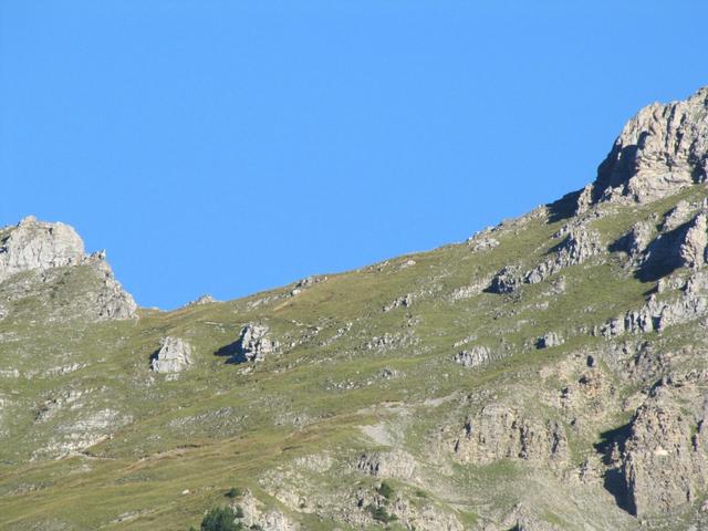 gut ersichtlich der Bergweg der über das Sätteli beim Tällistock zur Tällihütte führt