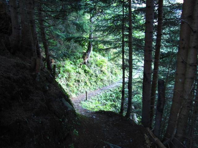 im Schaftellauiwald