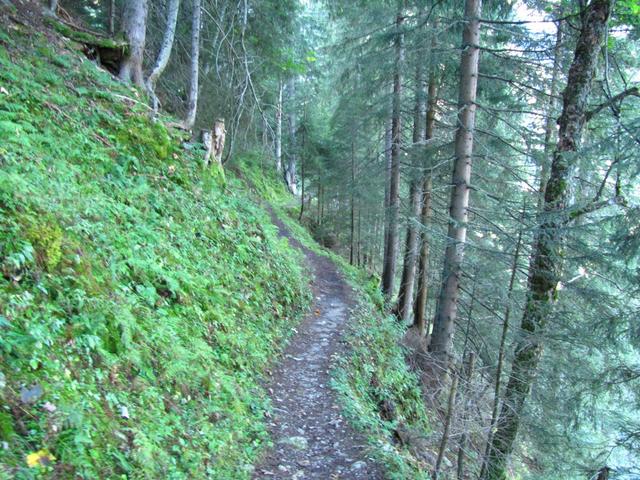 bei "im inn Hori" Punkt 1331 m.ü.M.