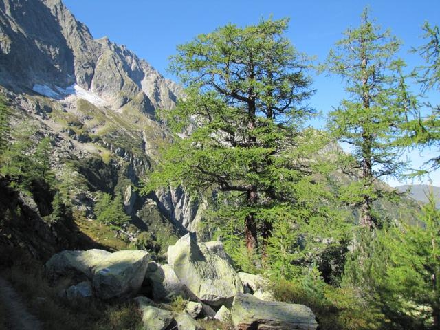 und das bei schöner Aussicht