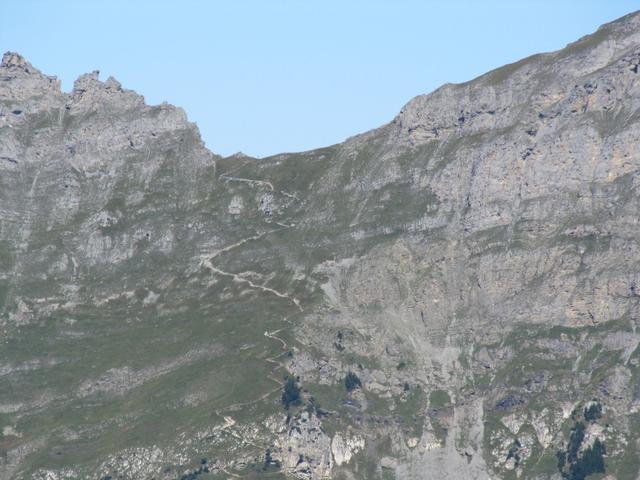 gut ersichtlich der Bergweg der über das Sätteli beim Tällistock zur Tällihütte führt