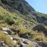 an der steilen Flanke vom vorder Tierberg, führt der Bergweg aufwärts