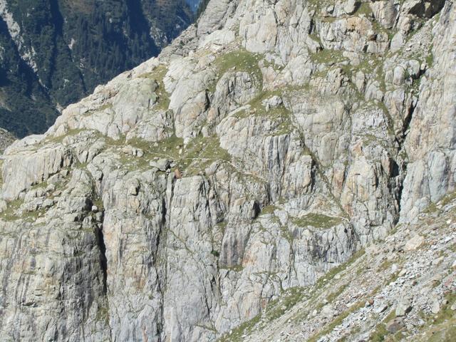 Blick zurück zu dem Teilstück mit den 2 Eisenleitern