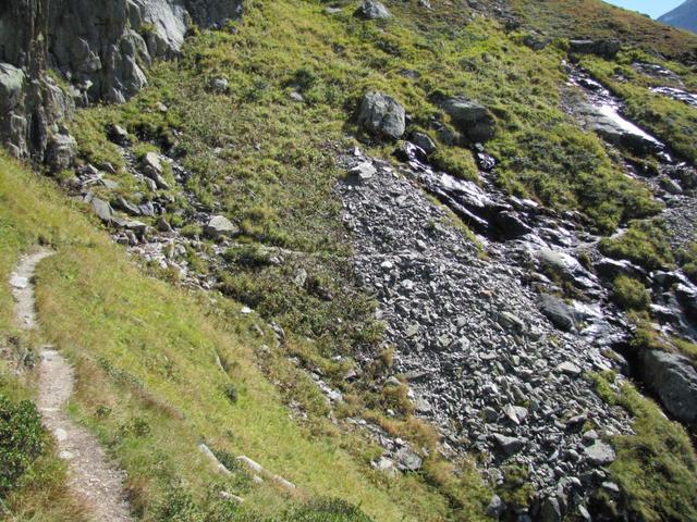 an steilen Hängen führt der Weg weiter Richtung Trifthütte