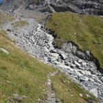 Blick zum reissenden Bach der vom Zwischen Tierbergen Gletscher gespiesen wird