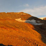 die ganze Stein- und Gletscherwelt verfärbt sich rot. Breitbildfoto Maasplanggstock und Wysse Nollen