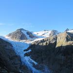 man kann sich nicht satt sehen Triftstöckli, Gwächtenhorn, Chilchlistock und Steinhüshorn