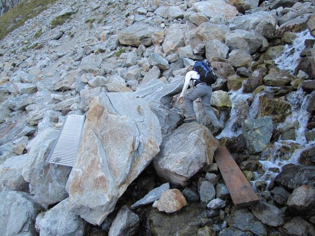 Mäusi hat auch den zweiten Gletscherbach überwunden. Die neue Brücke ist noch nicht installiert
