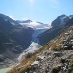 immer wieder so eine schöne Aussicht auf den Triftgletscher