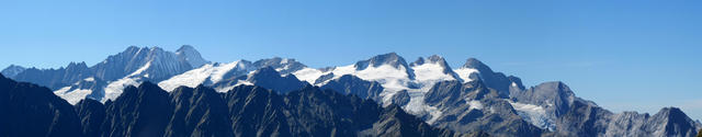 sehr schönes Breitbildfoto mit Schreckhorn und alle Gletscher und Berge im Gauligebiet