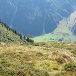 beim namenslosen Wegweiser, bogen wir rechts ab Richtung Holzhüs