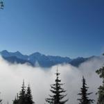 immer wieder solch eine Aussicht. Hier z.b. das Dreigestirn Eiger, Mönch und Jungfrau