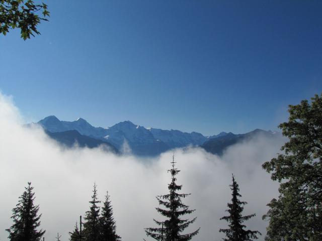 immer wieder solch eine Aussicht. Hier z.b. das Dreigestirn Eiger, Mönch und Jungfrau