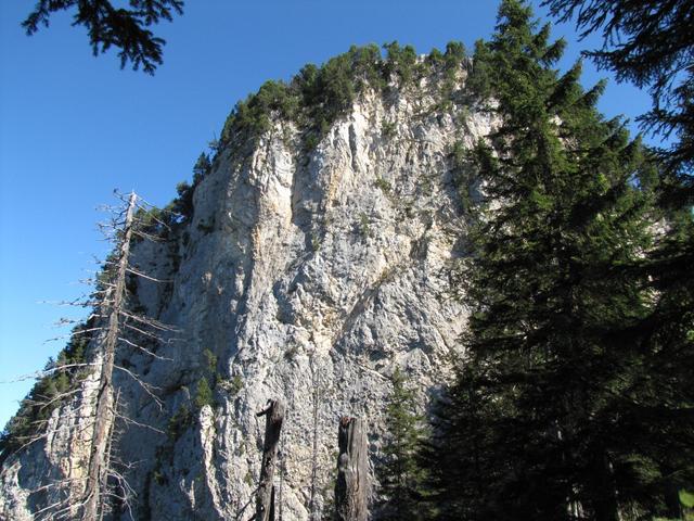 wir haben die steile Felswand der Roteflue auf 1660 m.ü.M. erreicht