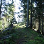 alles am breiten bewaldeten Grat entlang erreichten wir Punkt 1692 m.ü.M.