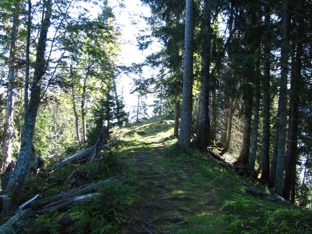 alles am breiten bewaldeten Grat entlang erreichten wir Punkt 1692 m.ü.M.