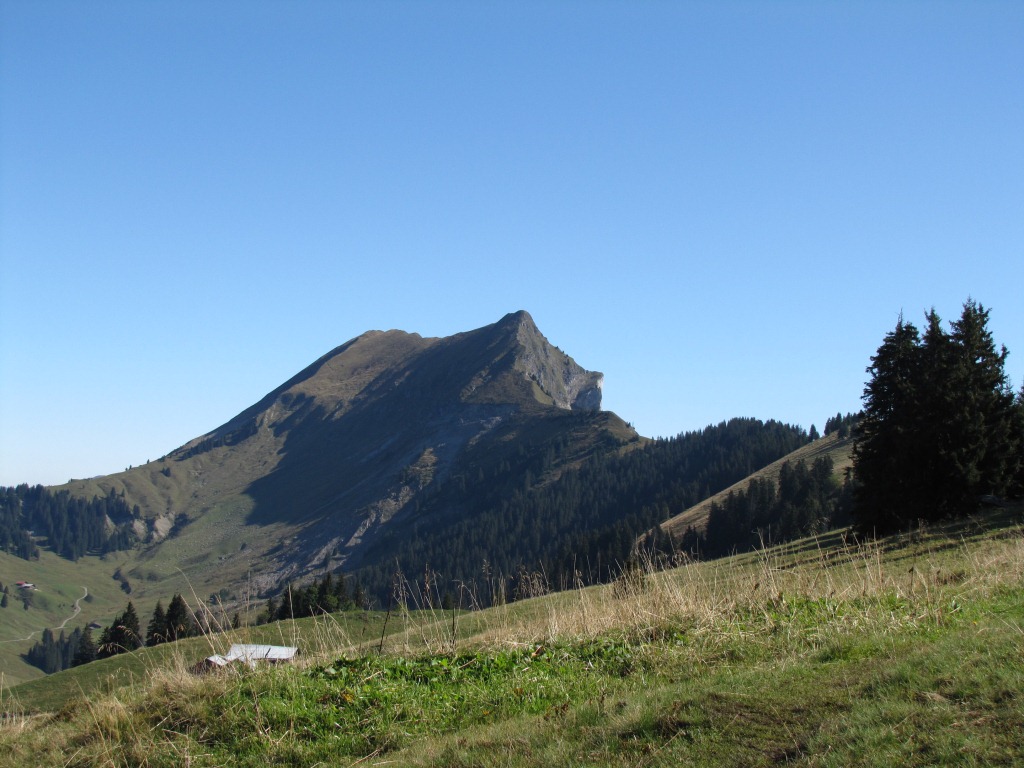 kurz nach Punkt 1692 m.ü.M. verlässt man den Wald und urplötzlich steht am Horizont der Augstmatthorn