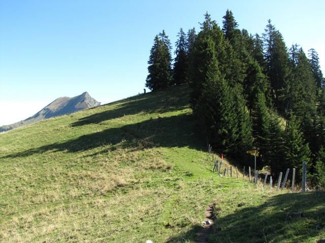 kurz nach Punkt 1729 m.ü.M. erreichen wir diese Wegkreuzung