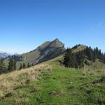 bei Schönbüel 1750 m.ü.M.