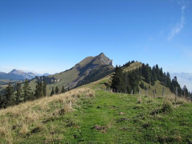 bei Schönbüel 1750 m.ü.M.