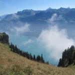 Tiefblick zum schönen Brienzersee