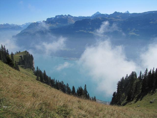 Tiefblick zum schönen Brienzersee