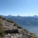 was für eine Aussicht in die Berner Alpen