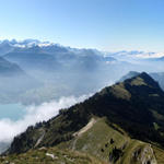 wunderschönes Breitbildfoto mit Blick zum Brienzersee