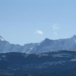 Finsteraarhorn, Agassizhorn und Fiescherhörner