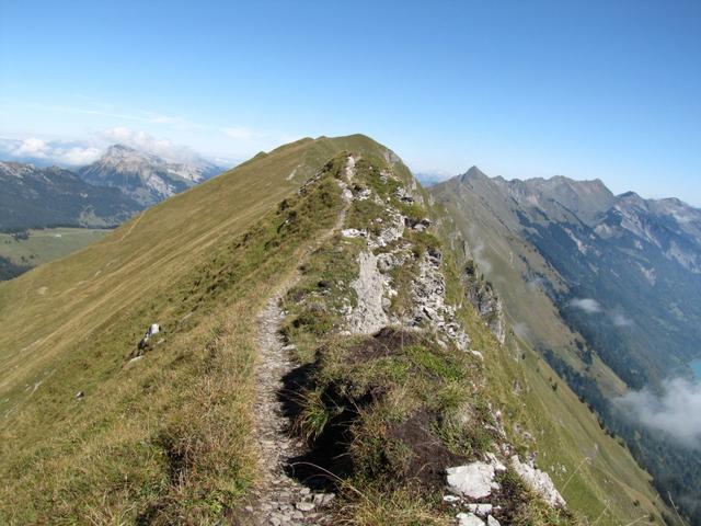 auf schmalem Grat geht es weiter zum Augstmatthorn